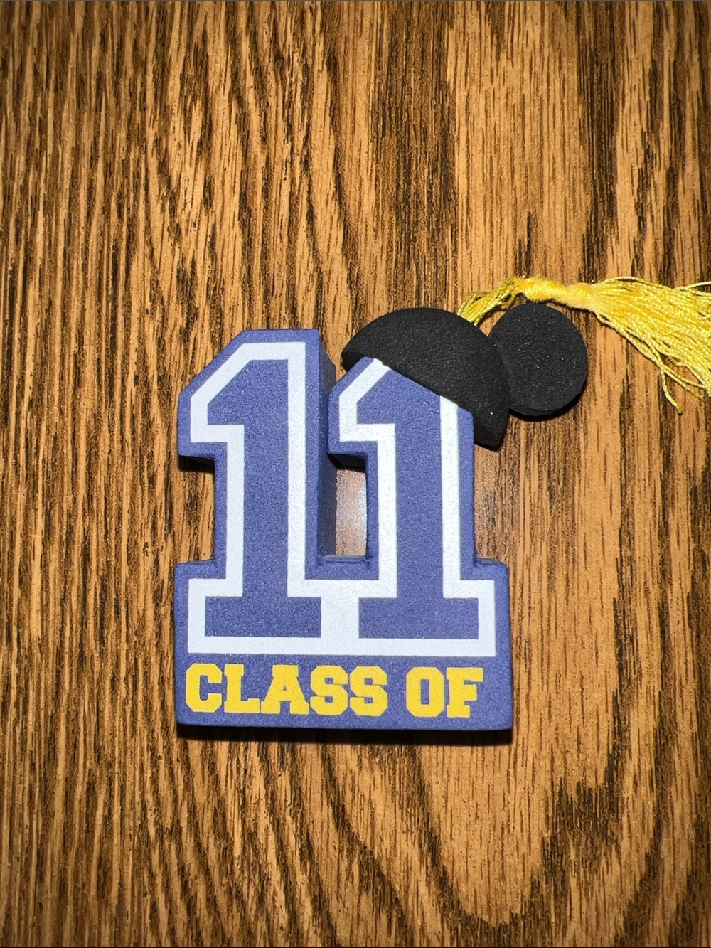 Disney Class of 11 car topper